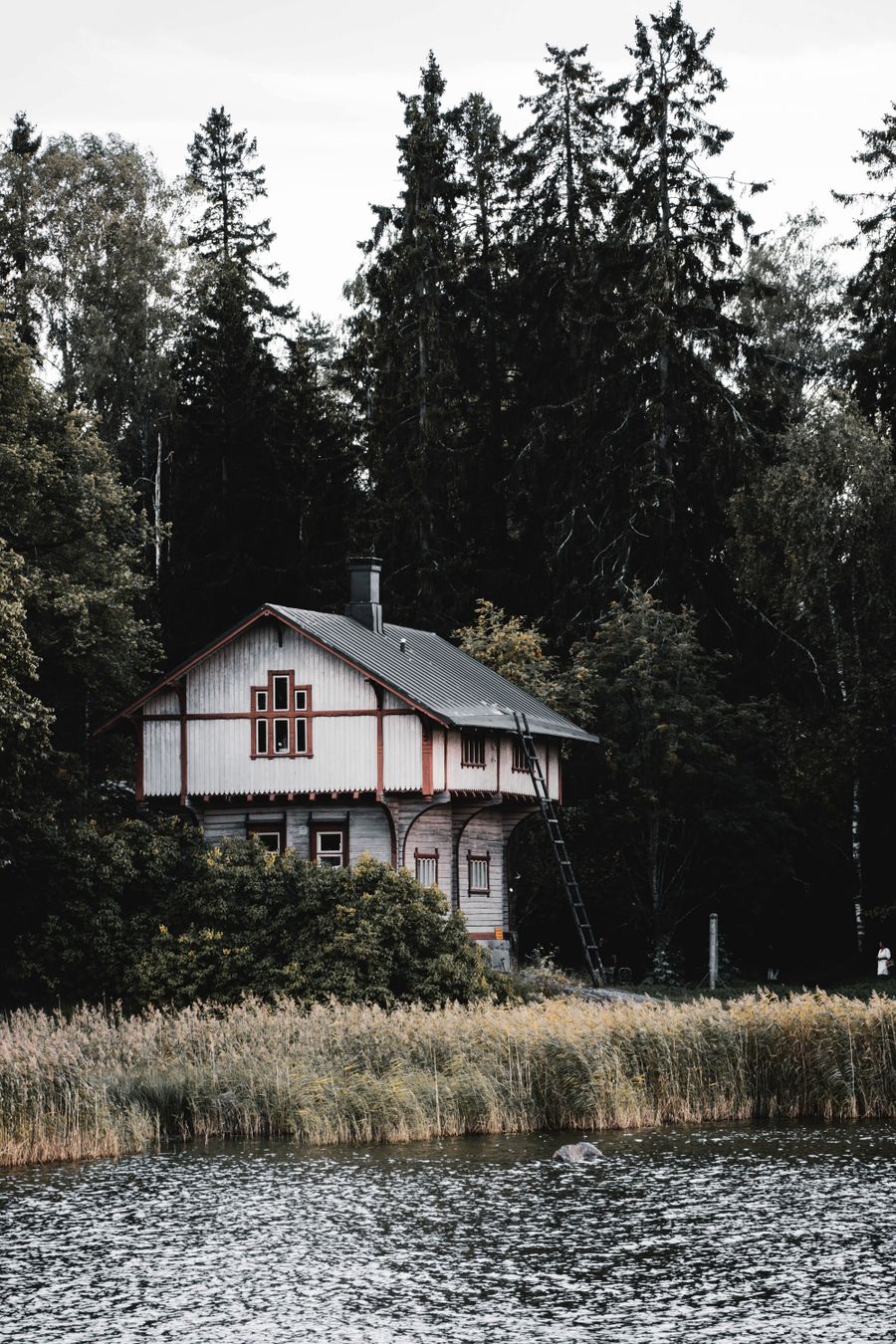 Mökki tiheän metsän keskellä